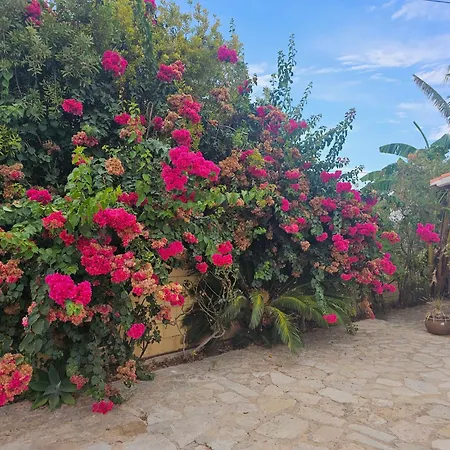 Casa De Flores Dénia Exterior photo