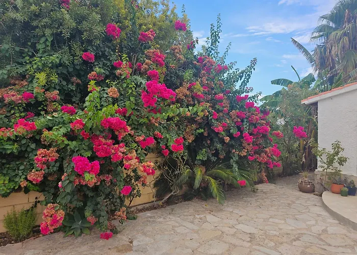 Casa De Flores
