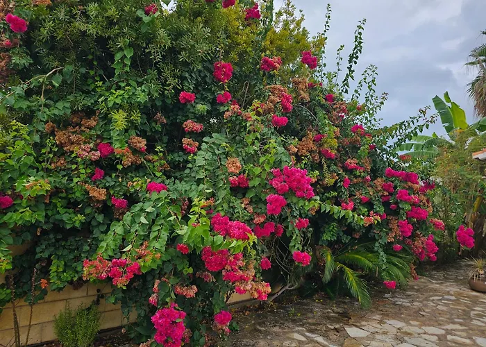 Casa De Flores